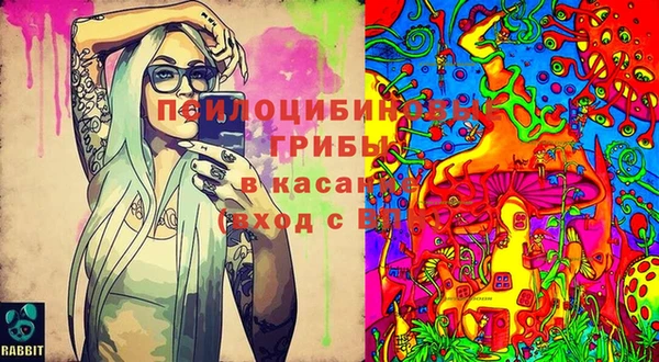 каннабис Верея