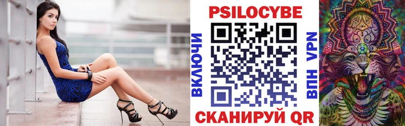 MEGA ONION  Вышний Волочёк  Псилоцибиновые грибы Psilocybe  магазин продажи  
